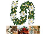 Jayseuw Ghirlanda Di Natale Con 50 Led Verde Interno Esterno 2,7 M Con Argento Decorazione Natalizia Decorativa Ghirlanda Di Natale