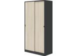 Dmora Guardaroba 2 Ante Bucksport 50X200H Cm Grigio Antracite, Appendiabiti 2 Ante