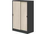 Dmora Guardaroba 2 Ante Lewiston 40X119H Cm Grigio Antracite, 2 Ante 3 Vani