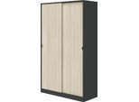 Dmora Guardaroba 2 Ante Waterville 50X200H Cm Grigio Antracite, Appendiabiti 2 Ante