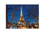 2000 Piece Puzzle: Illuminated Eiffel Tower
