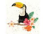 Set Per Punto Croce Bothy Threads "Toucan"", 26X26Cm, XHD21, Schema Contato"