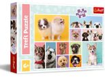 Trefl Trefl Puzzle Dogs 160 Pcs