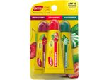 Carmex | Confezione Da 3, Balsamo Labbra, Trattamento Comfort, Protezione Antigelo, Rossetto Protettivo | Mix Di Frutta - 3 X 10 G