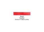 Royal & Langnickel Vernice Acrilica Essentials, 59 Ml, Rosso Scarlatto Perlato