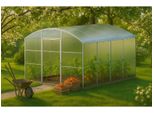 Garden Dream Serra In Policarbonato "Avalon"" 3X8M In Acciaio, Con Policarbonato Da 6 Mm"