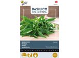 Semi Di Basilico Limone Buzzy - Circa 1,5 Gr | Buzzy_080908