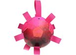 Cane Comete Palla Hypernova - Rosa
