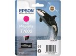 Epson Ink Bar Ultrachrome Hd "Kosatka"" - Vivid Magenta - T7603 (25,9 Ml)"
