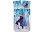 Disney Frozen, Biancheria Da Letto Per Bambini, Biancheria Da Letto Per Bambini, Anna, Elsa E Olaf Nella Foresta Incantata, Piumone 100 X 135 + Cuscino 40 X 60 Cm 100% Cotone