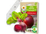 Barbabietola Su Nastro Nastro Di Semi Di Barbabietola Semi Di Barbabietola 6M