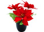 Stella Di Natale Artificiale In Vaso Nero - 27 Cm - Fiore Artificiale Di Stella Di Natale In Una Replica Realistica