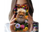 Custodia Per Samsung Galaxy S24 - Cane Carino, Custodia Pomerania + Vetro