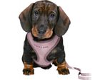 Trixie Junior Soft Pettorina Con Guinzaglio Per Cuccioli, M-L: 36-50 Cm, 2 M, Lilla