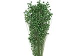 Decorazione Con Erba Secca Lino Per Composizioni Floreali E Ghirlande Di Fiori