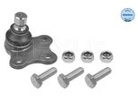 Perno Del Braccio Oscillante Ford Anteriore Mondeo 93 - Sinistro/Destro