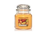 Candela Profumata Yankee Candle Mango Peach Salsa