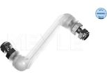 Asta/Puntone, Stabilizzatore Meyle 016 060 0222