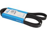 Cinghia Trapezoidale Dayco 1815,0 Mm Per Ford Sierra (Gbg, GB4) 6PK1815