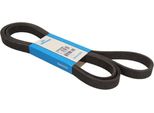Cinghia Trapezoidale Dayco 2569,0 Mm Per Vw Passat Variant (3B6) 7DPK2569