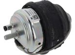 Cuscinetto Motore Volvo S60 I, V70 Ii, S80 I, Xc90 I 01.99-12.14
