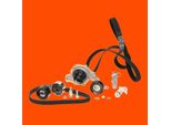 Set Pompa Acqua + Cinghia Di Distribuzione Bosch 1 987 948 519 Nuovo