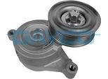 Tendicinghia Con Nervatura Poly-V Dayco APV3005