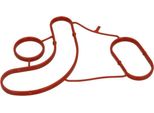 Guarnizione Radiatore Olio Db Classe C 2.1Cdi 00-
