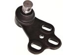 Perno Braccio Di Controllo Vw Anteriore A80 Pr 19Mm (Con Richiamo)