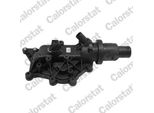 Calorstat By Vernet Termostato Liquido Di Raffreddamento 89 °C Per Renault Clio Iii Hatchback (BR0/1, CR0/1) Twingo Ii (CN0) Megane Iii Grandtour (KZ0/1) ScÉNic Ii