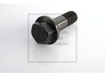 Peters Ennepetal Vite 106.150-00A Anteriore Posteriore 55Mm 0,199Kg