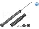 Ammortizzatore Dacia Posteriore Logan Mcv Ii 0.9/1.2/1.5D 02.13- Sinistra/Destra