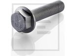 Peters Ennepetal Vite Disco Freno Vite Disco Freno 010.169-00A Anteriore Adatta Per MERCEDES-BENZ Citaro (O 530) 65 Mm 0,11 Kg