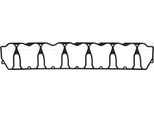 Reinz 71-37036-00 Coperchio Valvola Guarnizione Copertina Testata Cilindri Per DEUTZ-FAHR Agrotron Per Maz Serie 100 Per Askam As 950