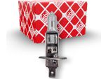 1X Febi Bilstein 173283 H1 Lampadina Fendinebbia A Vita Estesa (A Prova Di Vibrazioni) 70W 24V P14.5S