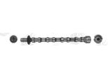 Ae CAM1019 Albero A Camme Di Scarico Per Ford Focus Iii Turnier Kuga Mk2 (DM2) Mondeo Iv Turnier (BA7) S-MAX (WA6) Focus Iii Galaxy (WA6)