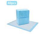 Einfeben 40X Tappetino Per Cuccioli 60X60Cm Tappetini Per Cani Tappetini Per Addestramento Assorbenti Per Cuccioli Lettiera Per Gatti Lettiera Per Cani