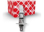 1X Febi Bilstein 172728 H1 Lampadina Fendinebbia 70W 24V P14.5S