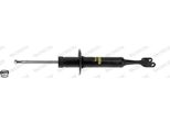 Monroe G2248 - Ammortizzatore Per A4 (8E), Exeo (3R)