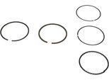Fasce Elastiche Vw Polo 1,6 76,50 Std