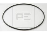 Peters Ennepetal Anello Di Tenuta Mozzo Ruota Ingranaggio Planetario 011.077-00A Per MERCEDES-BENZ Actros 6Mm 270Mm 0,031Kg