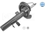 Ammortizzatore Anteriore Ford Focus 11- Pr