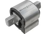 LemfÖRder 36505 01 - Oe A 221 240 10 18 Cuscinetto, Cambio Automatico Per Classe S (W221), Classe S (C216)