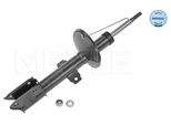 Ammortizzatore Dacia Anteriore Duster 10 - Sinistro/Destro
