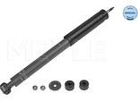 Ammortizzatore Db Posteriore Slk (R171) 1.8/3.0/3.5 03.04-02.11 Sinistra/Destra