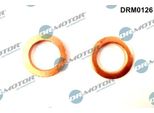 Guarnizione Linea Olio Turbina Ford 1.4Tdci/1.6Tdci 2Pz.