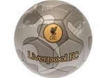 Squadra Merchandise Calcio Liverpool Fc 32 Pannello Camo Taglia 5 Argento