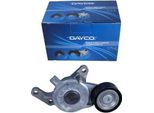 Tendicinghia Multifrizione Citroen 2.0 Hdi/Bluehdi