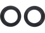 Set Guarnizioni Forcella All Balls Racing Die Wellendic 31 X 43 X 10 (