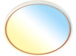 Briloner Ina Plafoniera Led, Dimmerabile, Telecomando, Regolabile Da Bianco Caldo A Bianco Freddo, Caffè, Ø49 X 6,5 Cm